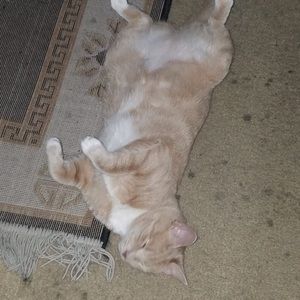 Meet your Posher, Johnny